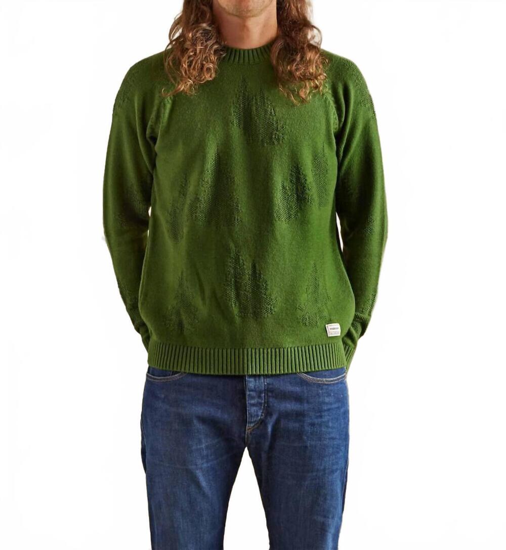 NEW MALOJA muen top in deep forest light